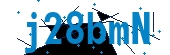 recaptcha