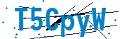 recaptcha